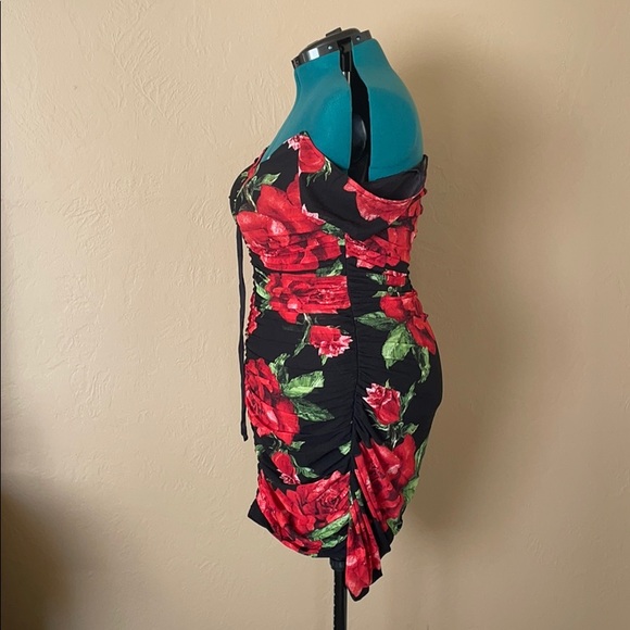 La Rosita Mini Dress - Picture 14 of 15